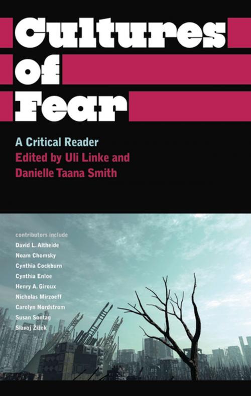 Cover of the book Cultures of Fear by , Pluto Press
