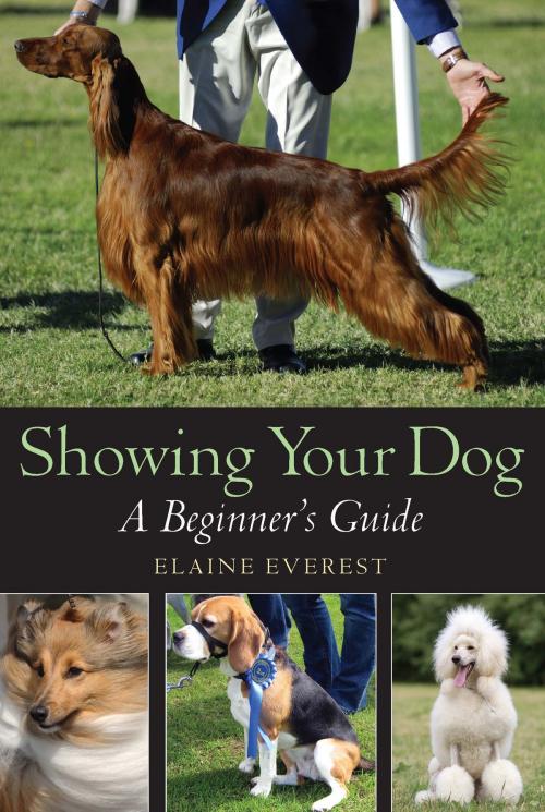 Cover of the book Showing Your Dog by Elaine Everest, Little, Brown Book Group