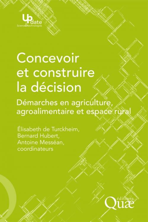Cover of the book Concevoir et construire la décision by Antoine Messéan, Hubert Bernard, Élisabeth de Turckheim, Quae
