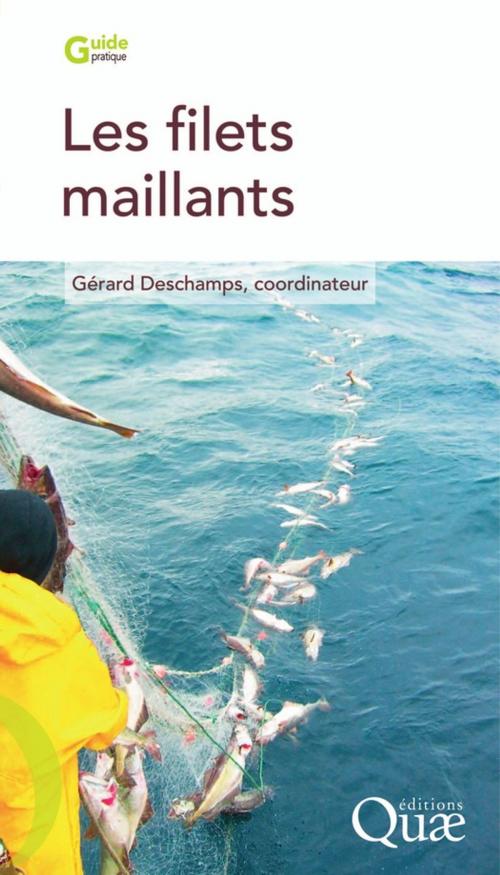 Cover of the book Les filets maillants by Gérard Deschamps, Quae
