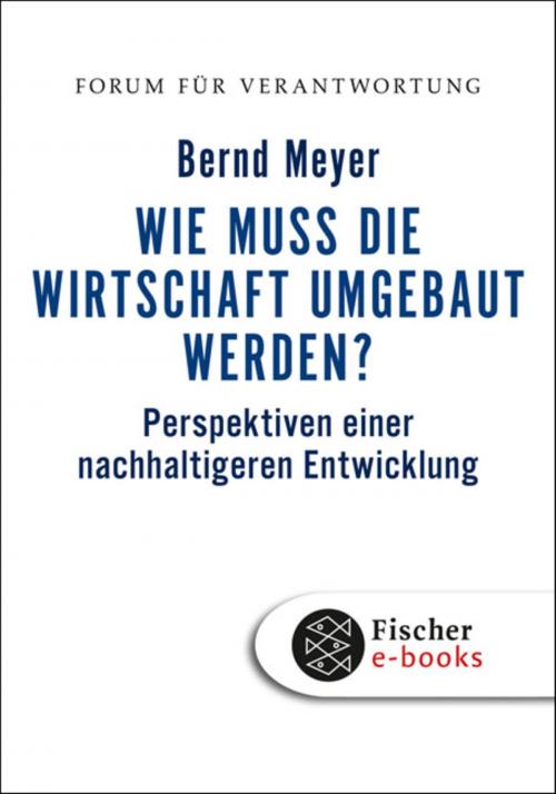 Cover of the book Wie muss die Wirtschaft umgebaut werden? by Bernd Meyer, FISCHER E-Books
