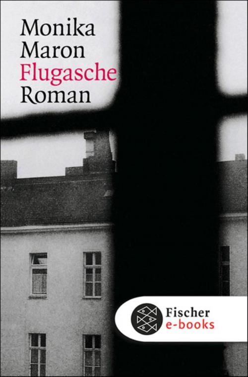 Cover of the book Flugasche by Monika Maron, FISCHER E-Books