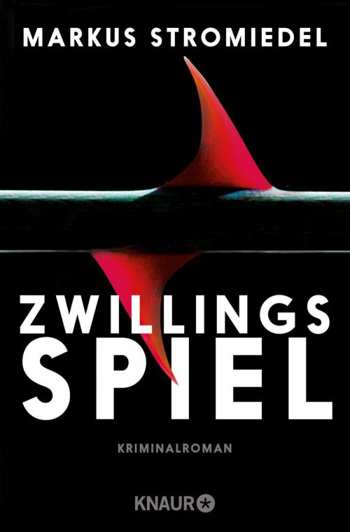 Cover of the book Zwillingsspiel by Markus Stromiedel, Knaur eBook
