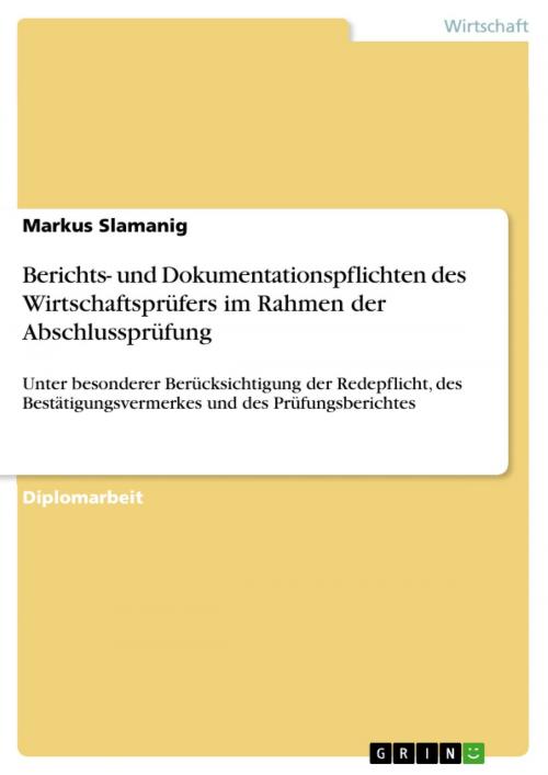 Cover of the book Berichts- und Dokumentationspflichten des Wirtschaftsprüfers im Rahmen der Abschlussprüfung by Markus Slamanig, GRIN Verlag