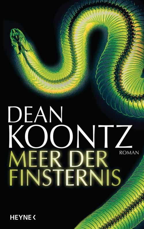 Cover of the book Meer der Finsternis by Dean Koontz, Heyne Verlag