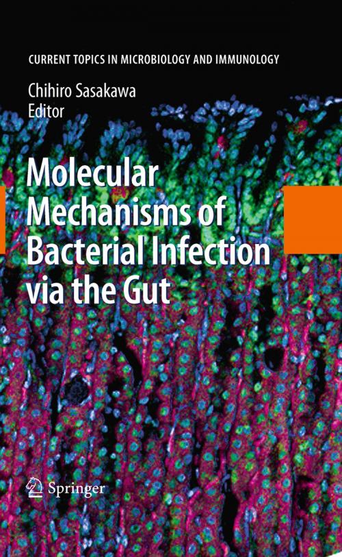 Cover of the book Molecular Mechanisms of Bacterial Infection via the Gut by , Springer Berlin Heidelberg