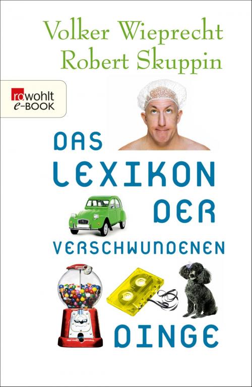 Cover of the book Das Lexikon der verschwundenen Dinge by Volker Wieprecht, Robert Skuppin, Rowohlt E-Book