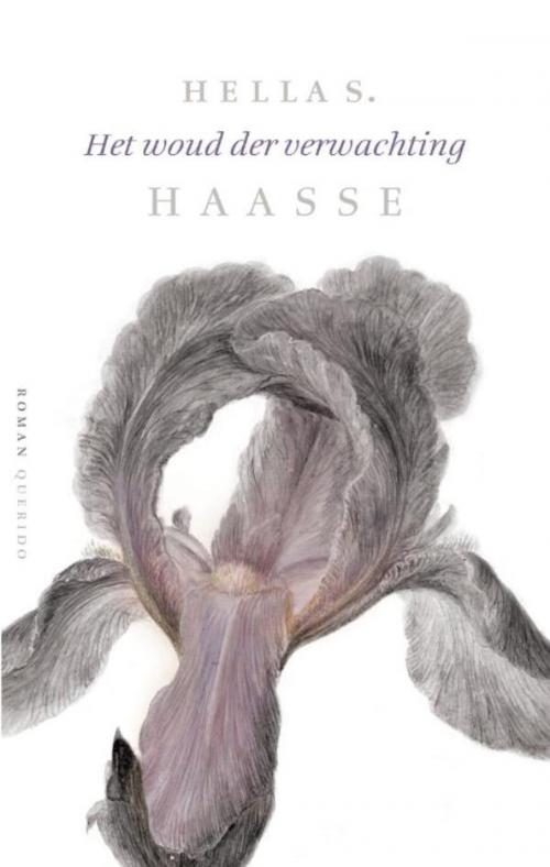 Cover of the book Het woud der verwachting by Hella S. Haasse, Singel Uitgeverijen