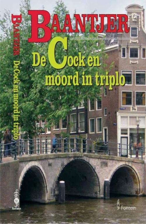 Cover of the book De Cock en moord in triplo by A.C. Baantjer, VBK Media