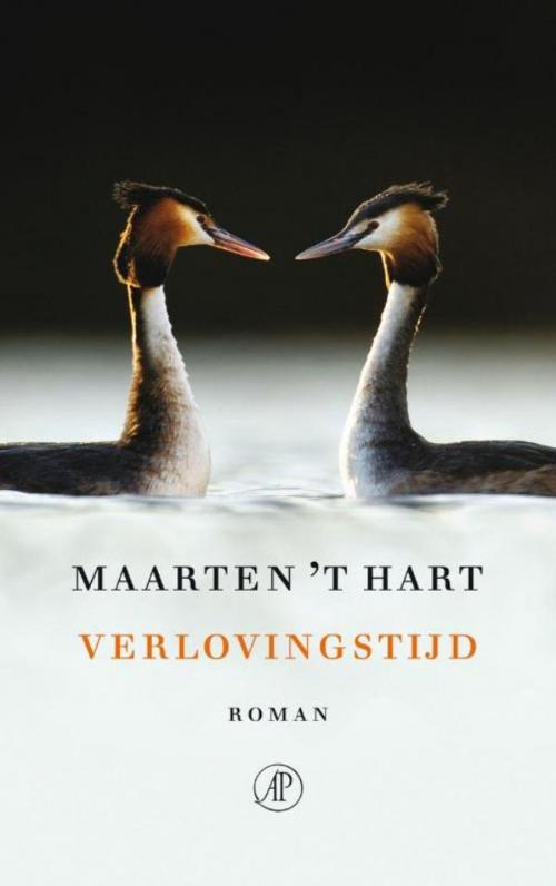 Cover of the book Verlovingstijd by Maarten 't Hart, Singel Uitgeverijen