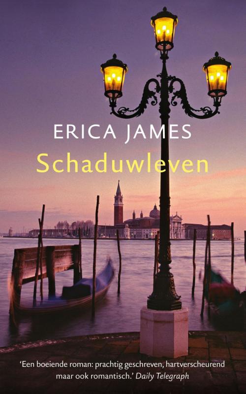 Cover of the book Schaduwleven by Erica James, VBK Media