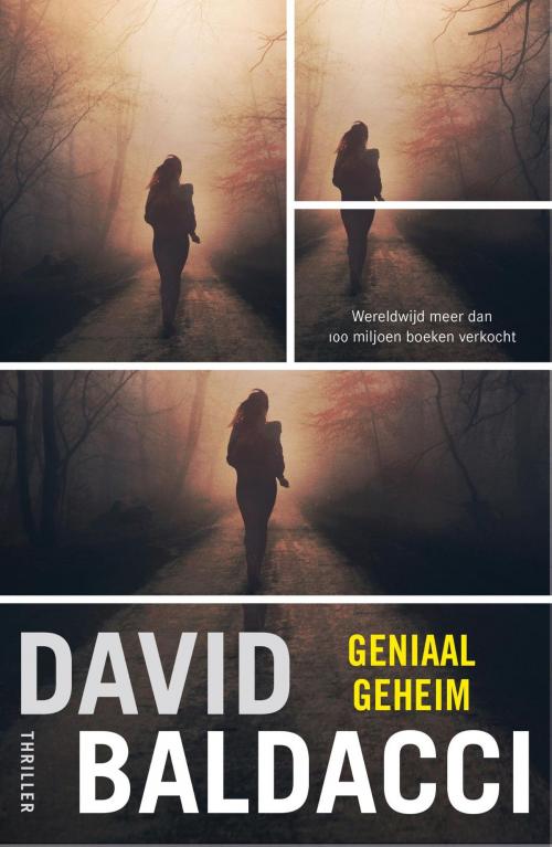 Cover of the book Geniaal geheim by David Baldacci, Bruna Uitgevers B.V., A.W.