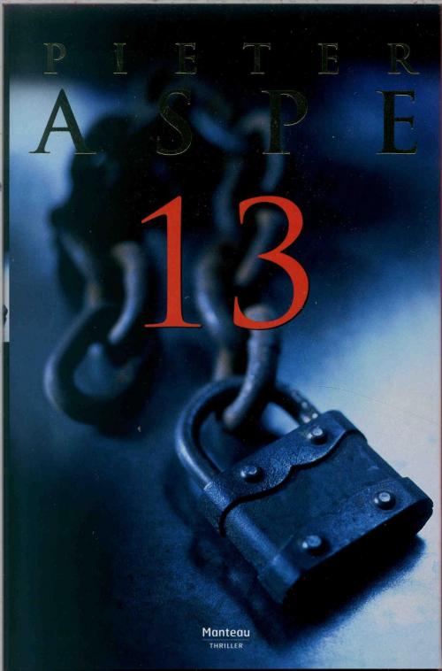 Cover of the book 13 by Pieter Aspe, Standaard Uitgeverij - Algemeen