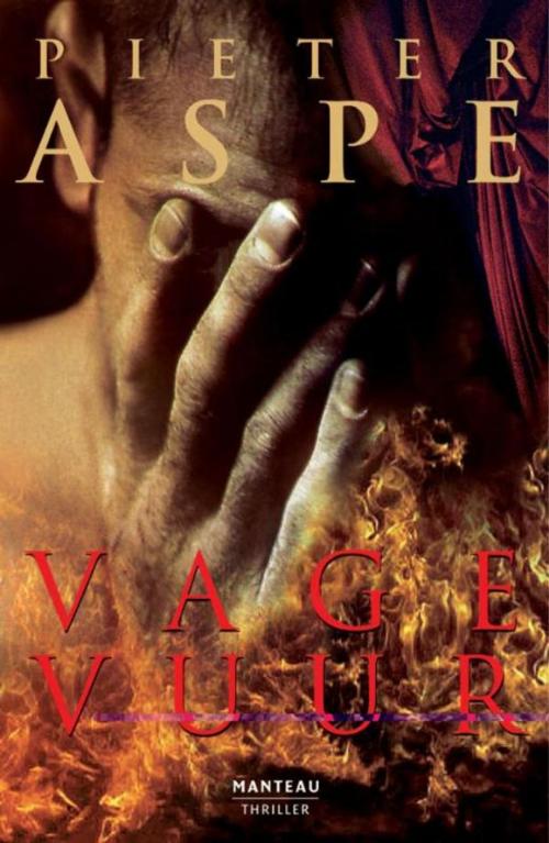 Cover of the book Vagevuur by Pieter Aspe, Standaard Uitgeverij - Algemeen