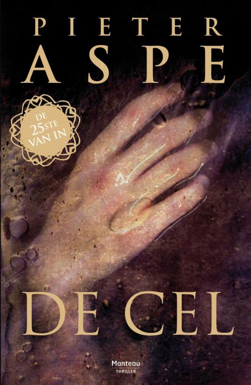 Cover of the book De cel by Pieter Aspe, Standaard Uitgeverij - Algemeen