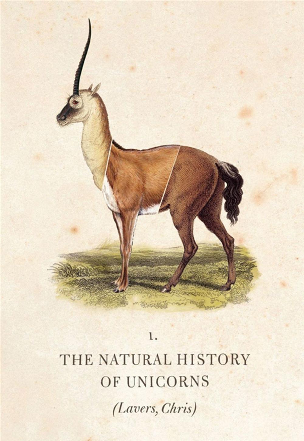 Big bigCover of The Natural History of Unicorns