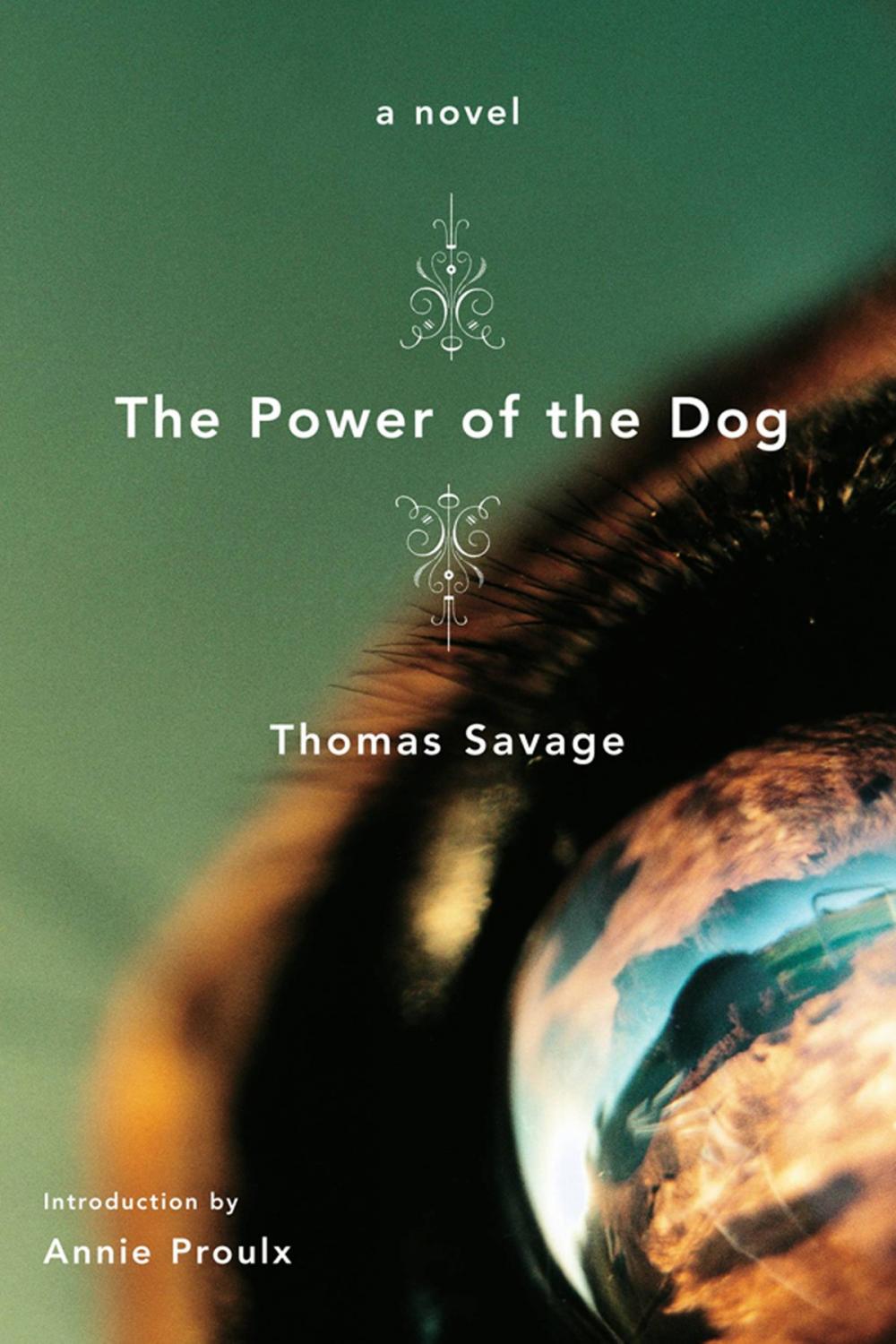 Big bigCover of The Power of the Dog