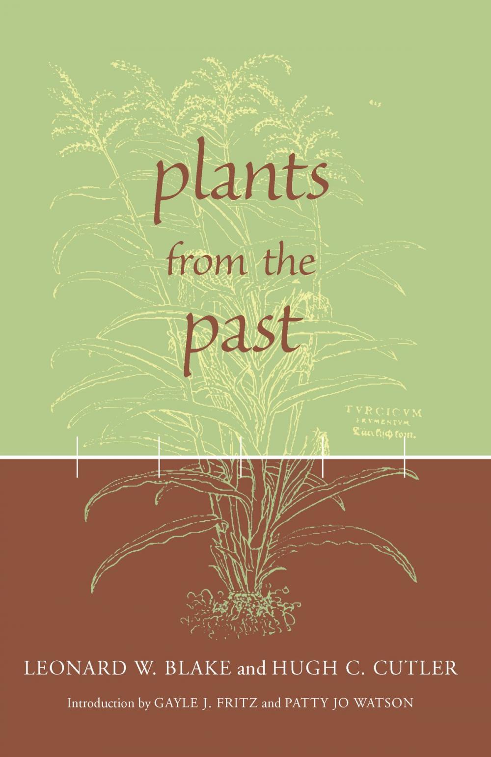 Big bigCover of Plants from the Past