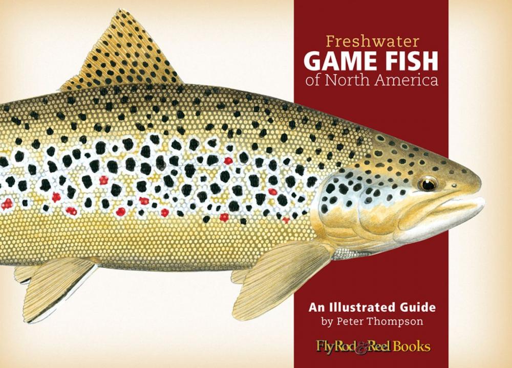 Big bigCover of Freshwater Game Fish of North America