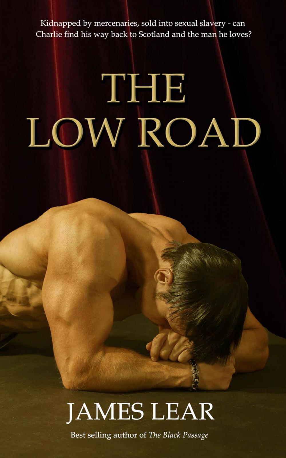 Big bigCover of The Low Road