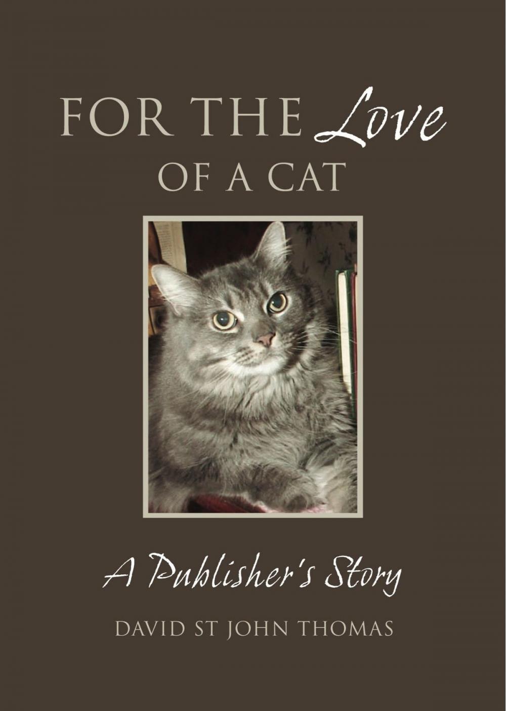 Big bigCover of For the Love of a Cat