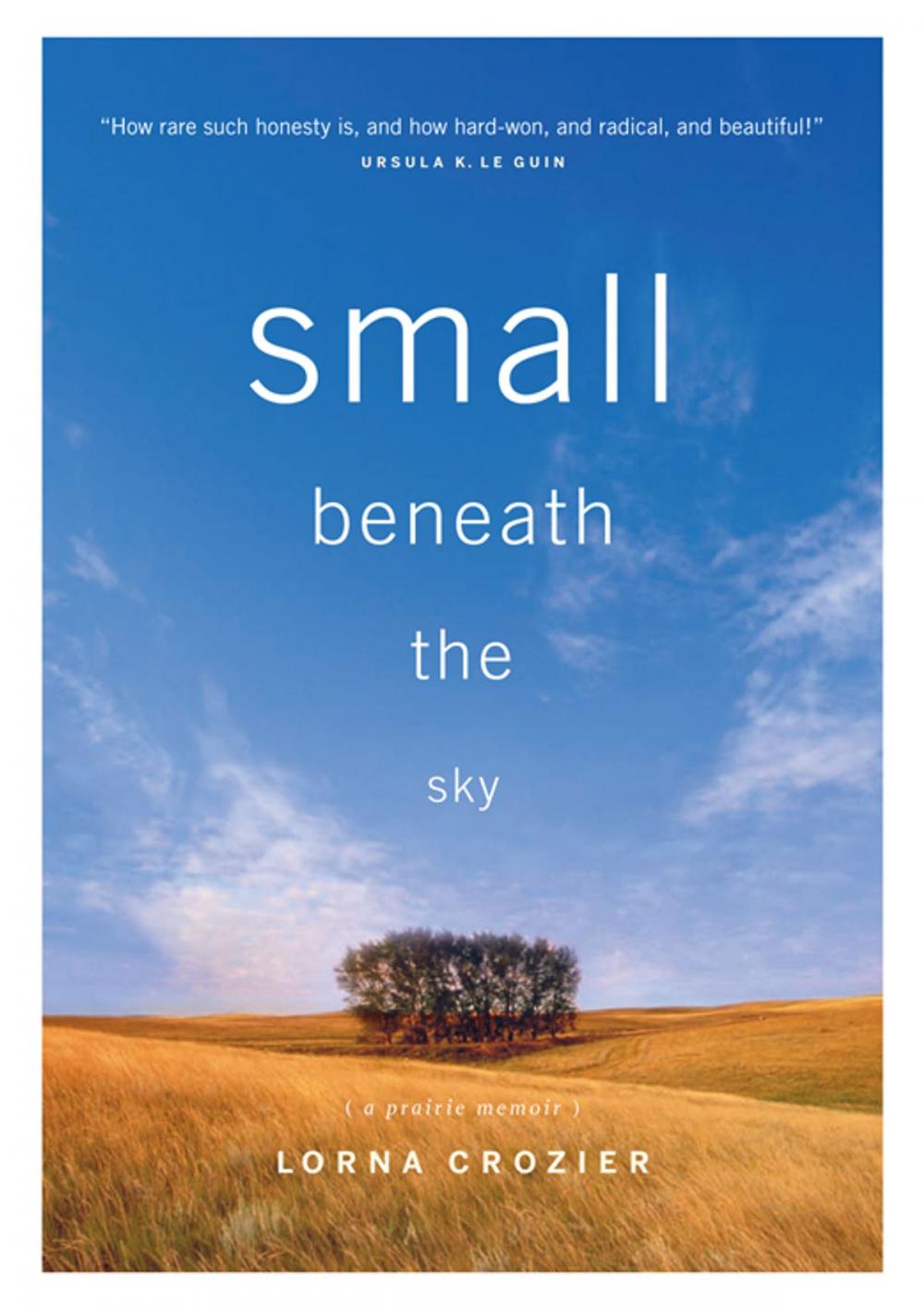 Big bigCover of Small Beneath the Sky