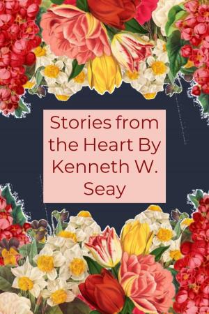 Cover of the book Stories from the Heart by Theodora Goss