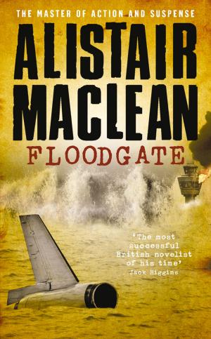 Cover of the book Floodgate by Ann Pilling