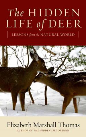 Cover of the book The Hidden Life of Deer by Louise Erdrich