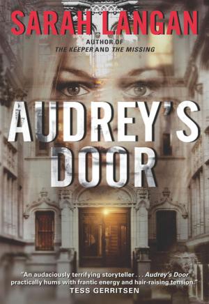 Cover of the book Audrey's Door by Matt Hilton