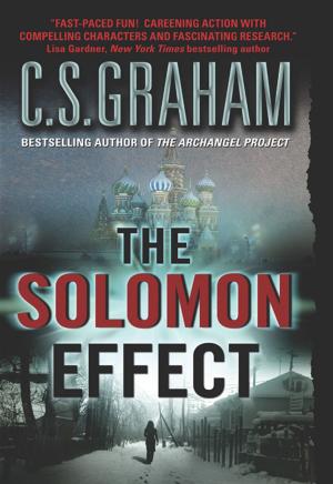 Cover of the book The Solomon Effect by Mitchell Bard