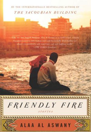 Cover of the book Friendly Fire by Deborah Heal