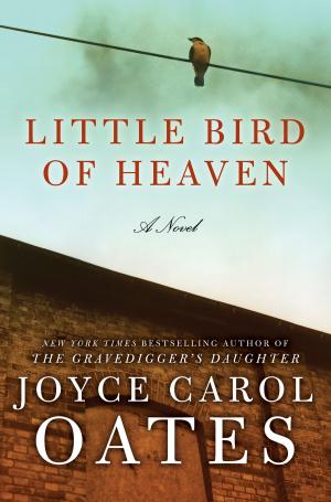 Cover of the book Little Bird of Heaven by James W Huston