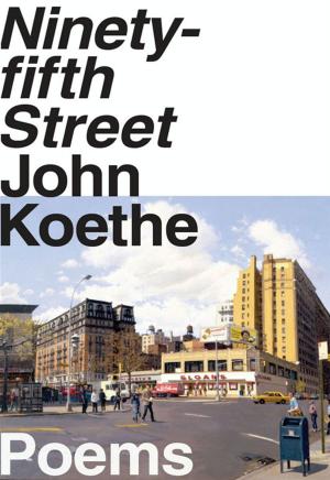 Book cover of Ninety-fifth Street