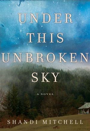 Cover of the book Under This Unbroken Sky by Scott Atran