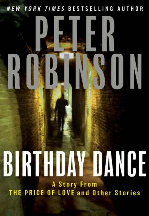 Cover of the book Birthday Dance by Amanda Linehan