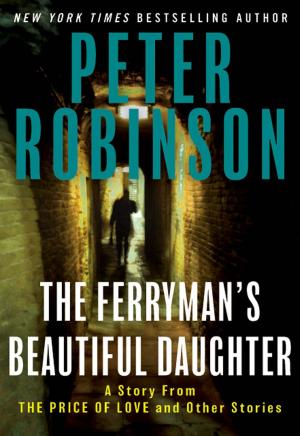 Cover of the book The Ferryman's Beautiful Daughter by John Callahan, David Kelly