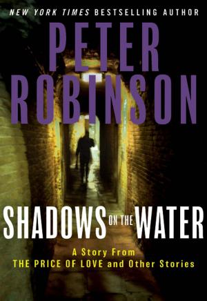 Cover of the book Shadows on the Water by Ted Bell