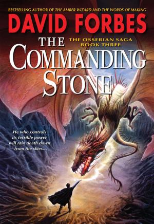 Cover of the book The Commanding Stone by Melissa Nathan