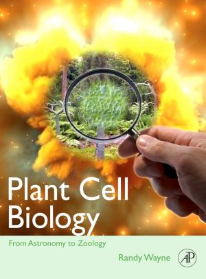 Cover of the book Plant Cell Biology by Martha Davis, Kaaron Joann Davis, Marion Dunagan