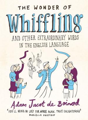 Cover of the book The Wonder of Whiffling by Bryce Courtenay