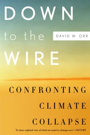 Book cover of Down to the Wire