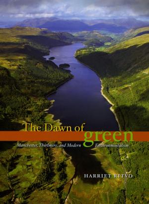 Cover of the book The Dawn of Green by Lawrence Lessig