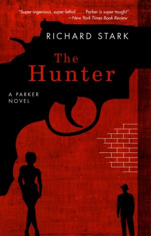 Cover of the book The Hunter by Amy Starecheski