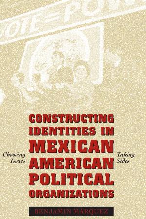 Cover of the book Constructing Identities in Mexican-American Political Organizations by José Carlos de la Puente Luna