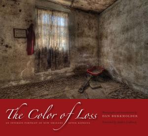 Cover of the book The Color of Loss by María Fernández