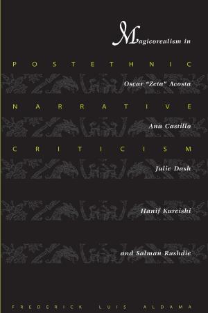 Book cover of Postethnic Narrative Criticism