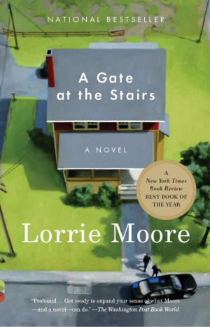 Book cover of A Gate at the Stairs