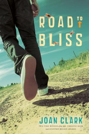 Cover of the book Road to Bliss by Tanya Lloyd Kyi