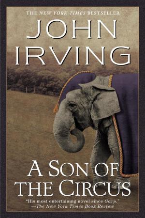 Cover of the book A Son of the Circus by Karen Marie Moning